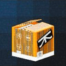 Proprietary Asset